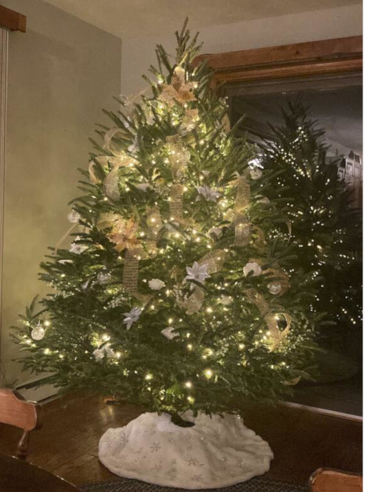 Real Christmas Trees Delivered 6 Foot Premium Fraser Fir